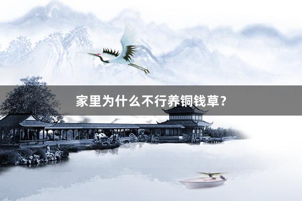 家里为什么不行养铜钱草？