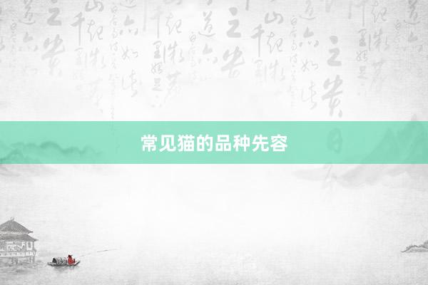 常见猫的品种先容