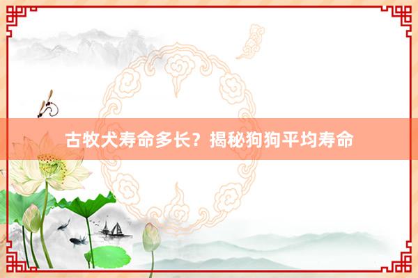 古牧犬寿命多长？揭秘狗狗平均寿命