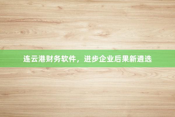 连云港财务软件，进步企业后果新遴选