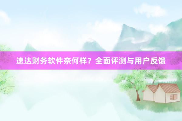 速达财务软件奈何样？全面评测与用户反馈